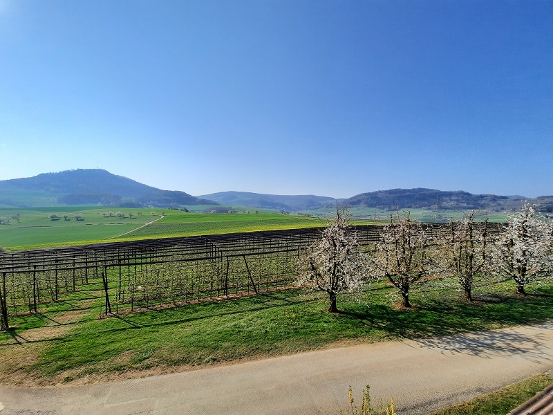 Impression vom 19.01.2026