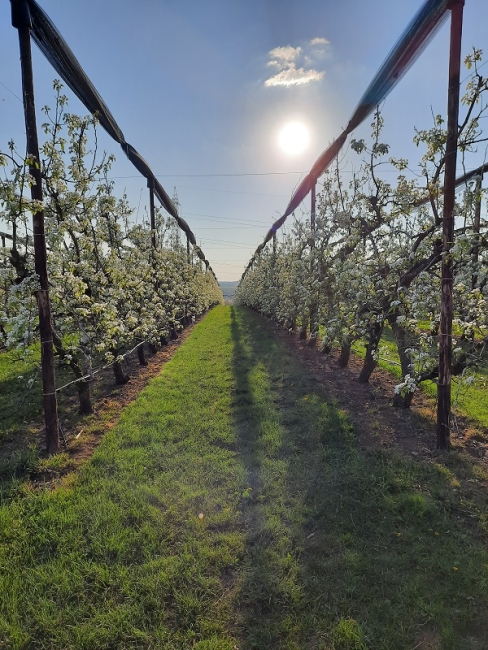 Impression vom 19.01.2026