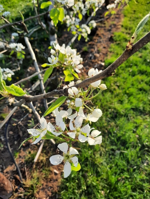 Impression vom 19.01.2026