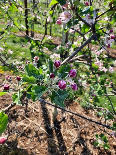 Impression vom 19.01.2026