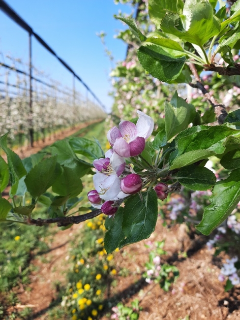 Impression vom 19.01.2026