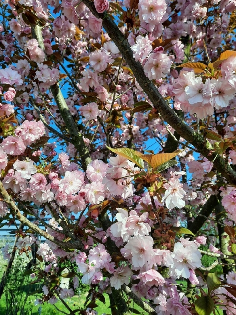 Impression vom 19.01.2026