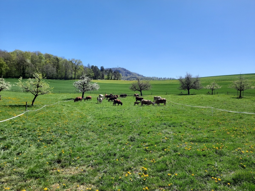 Impression vom 19.01.2026