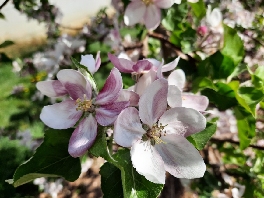 Impression vom 19.01.2026