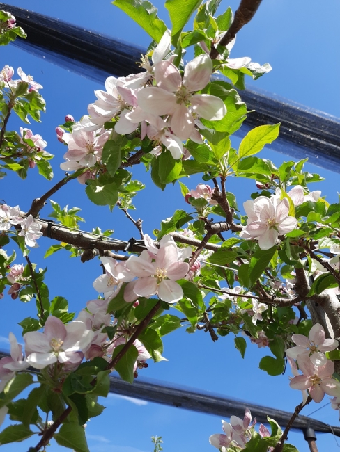 Impression vom 19.01.2026