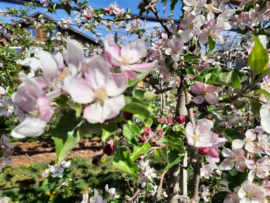 Impression vom 19.01.2026