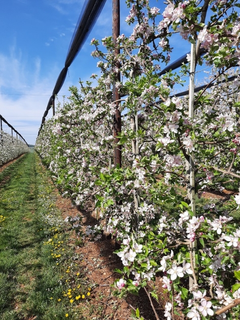 Impression vom 19.01.2026