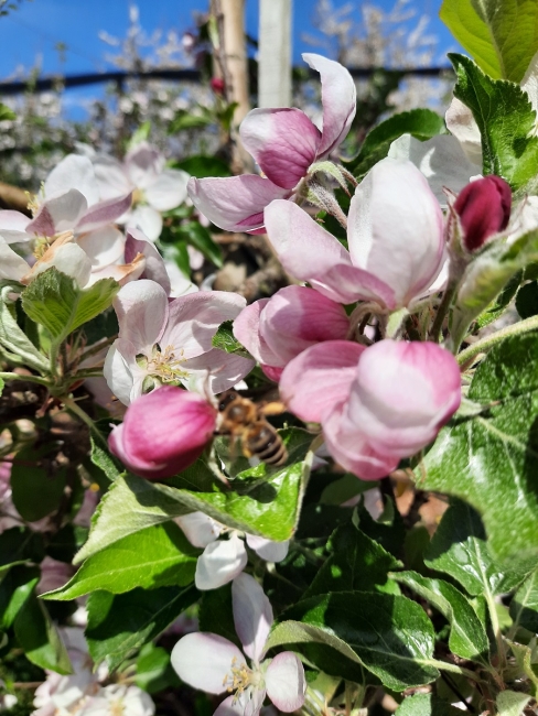 Impression vom 19.01.2026