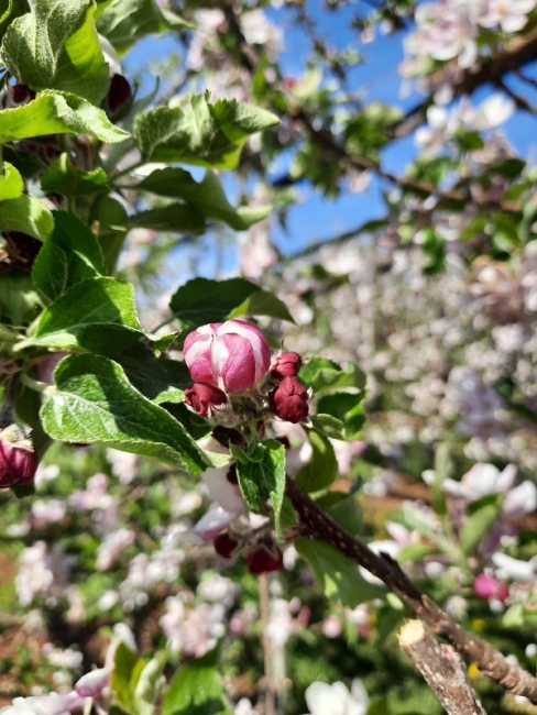 Impression vom 19.01.2026