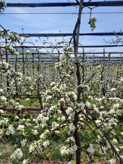 Impression vom 19.01.2026