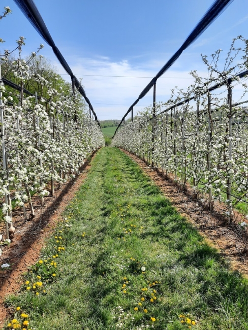 Impression vom 19.01.2026