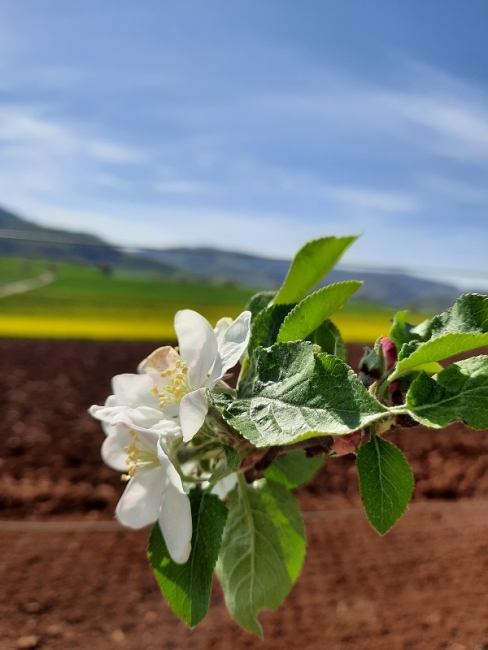 Impression vom 19.01.2026