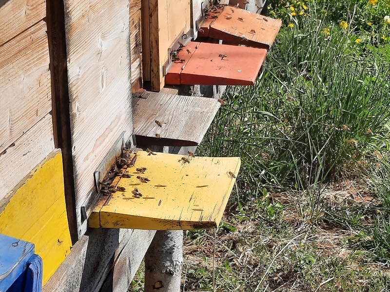 Impression vom 19.01.2026