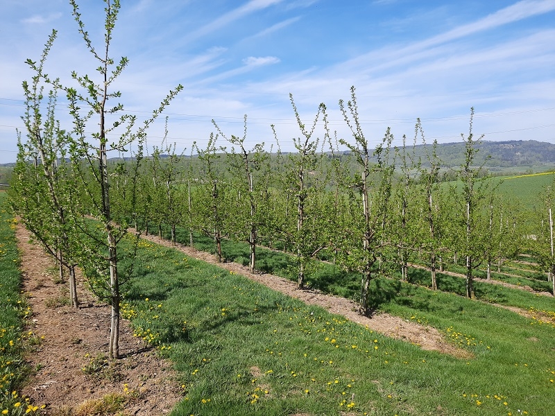 Impression vom 19.01.2026