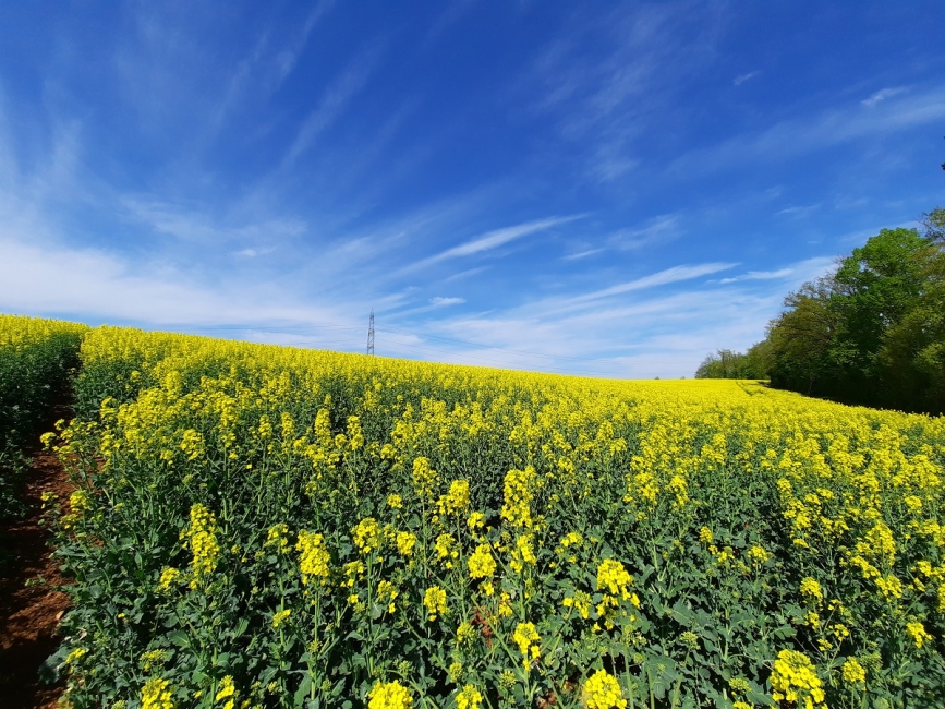 Impression vom 19.01.2026