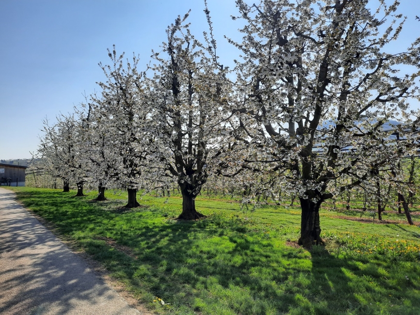 Impression vom 19.01.2026