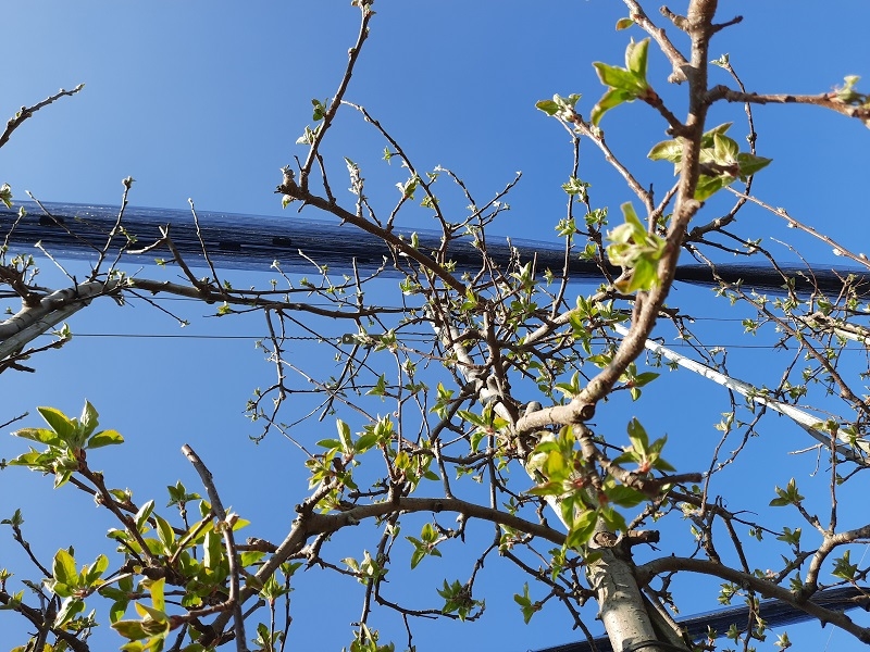 Impression vom 19.01.2026