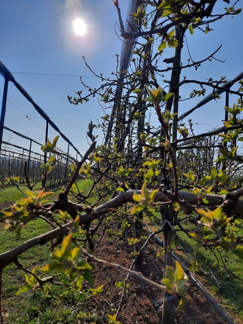 Impression vom 19.01.2026