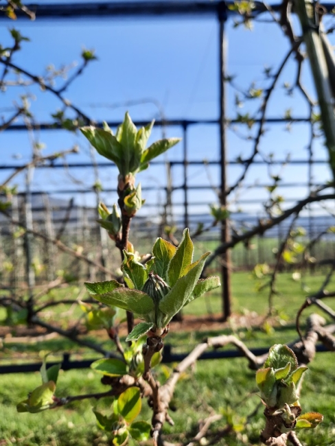 Impression vom 19.01.2026