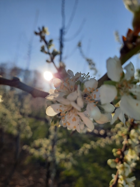 Impression vom 19.01.2026