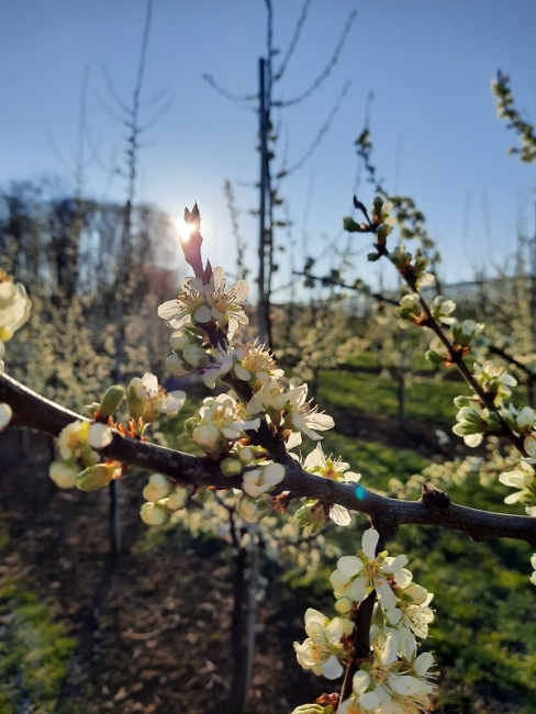 Impression vom 19.01.2026