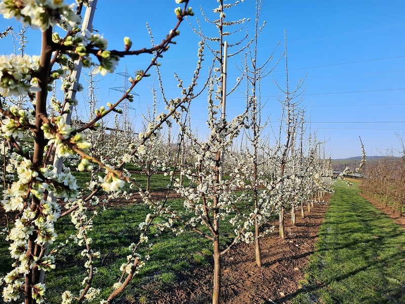 Impression vom 19.01.2026