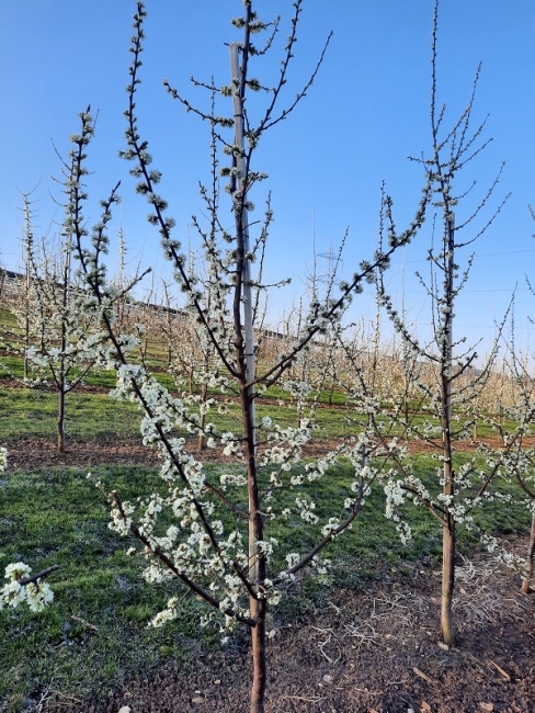 Impression vom 19.01.2026