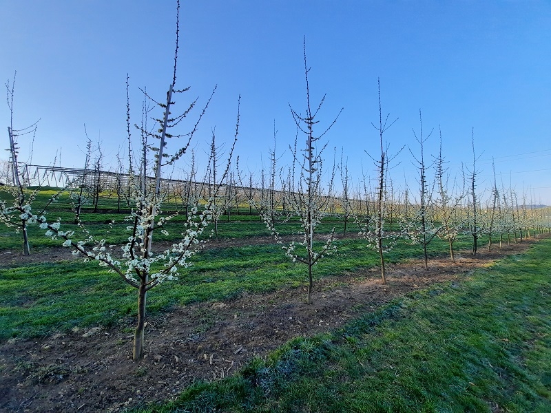 Impression vom 19.01.2026