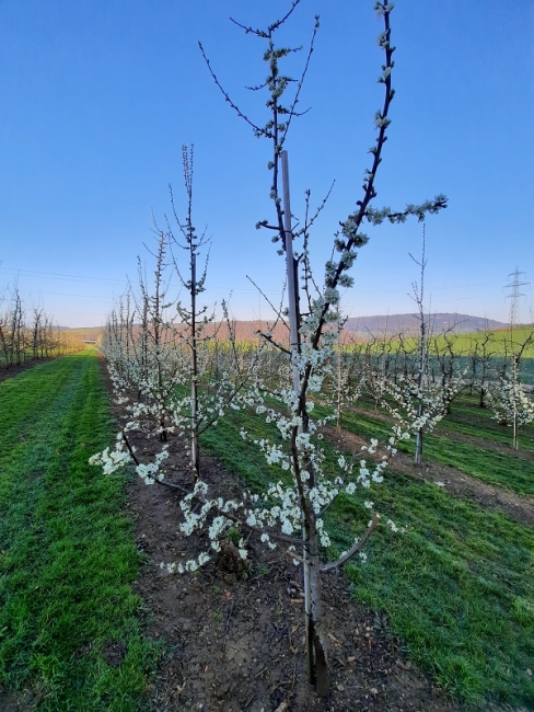 Impression vom 19.01.2026