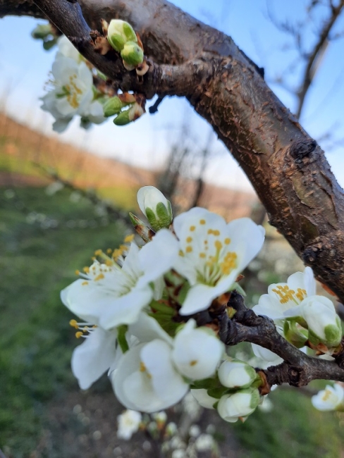 Impression vom 19.01.2026