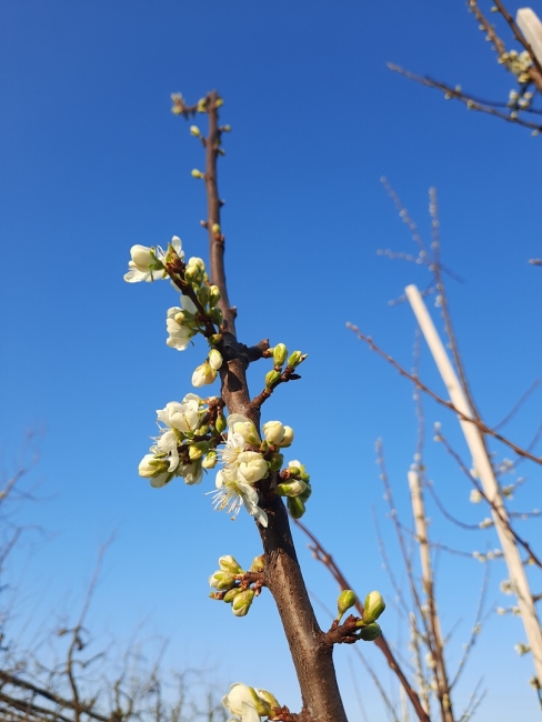 Impression vom 19.01.2026