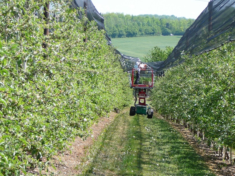 Impression vom 19.01.2026