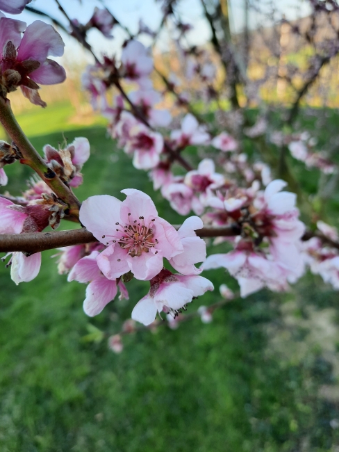 Impression vom 19.01.2026