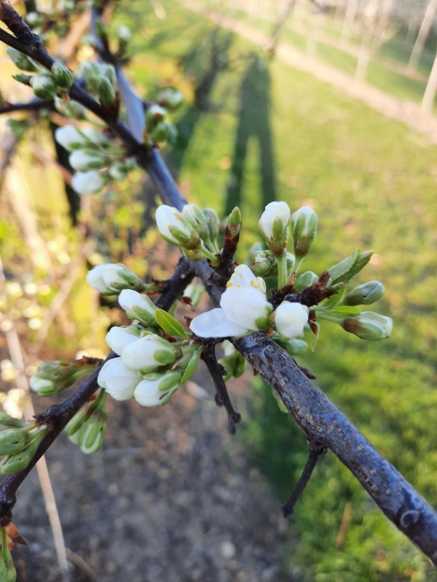 Impression vom 19.01.2026