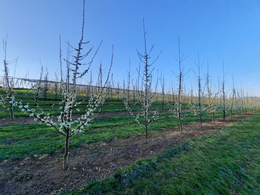 Impression vom 19.01.2026