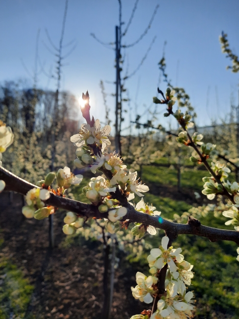 Impression vom 19.01.2026