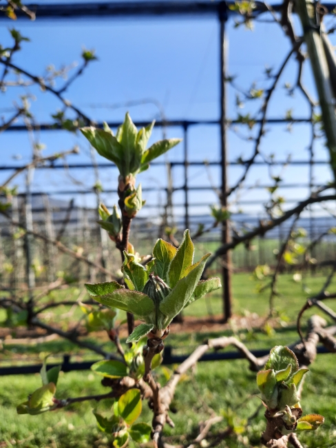 Impression vom 19.01.2026