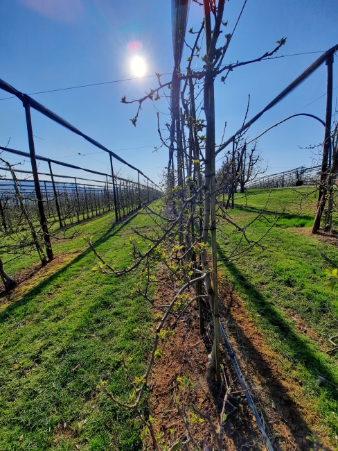 Impression vom 19.01.2026