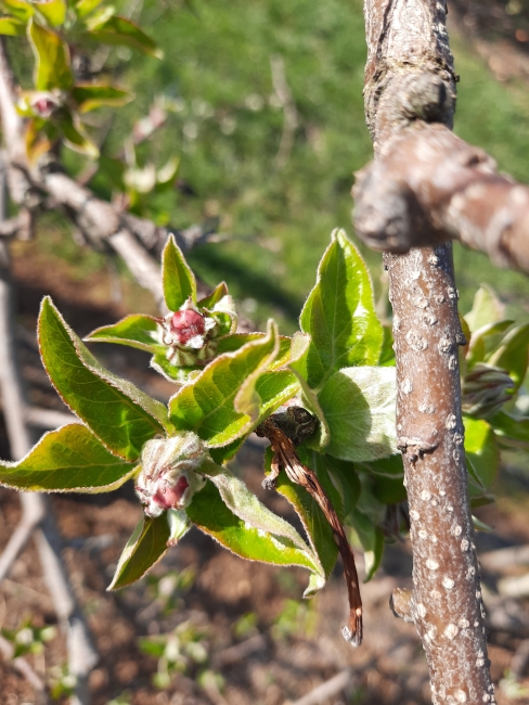 Impression vom 19.01.2026