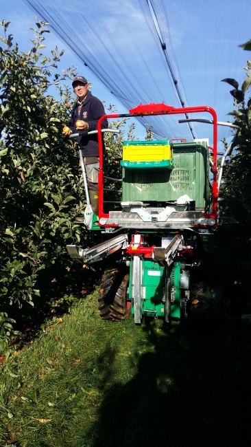 Impression vom 19.01.2026