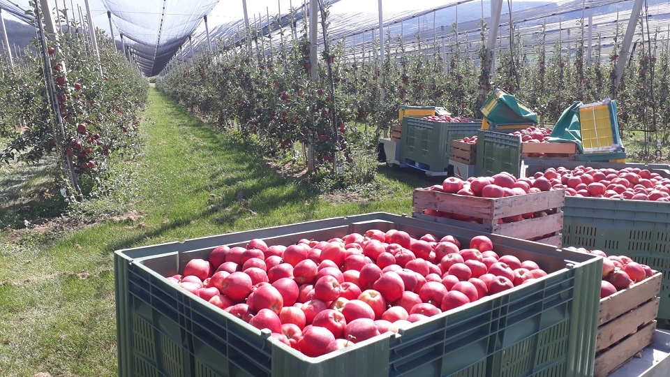 Impression vom 19.01.2026