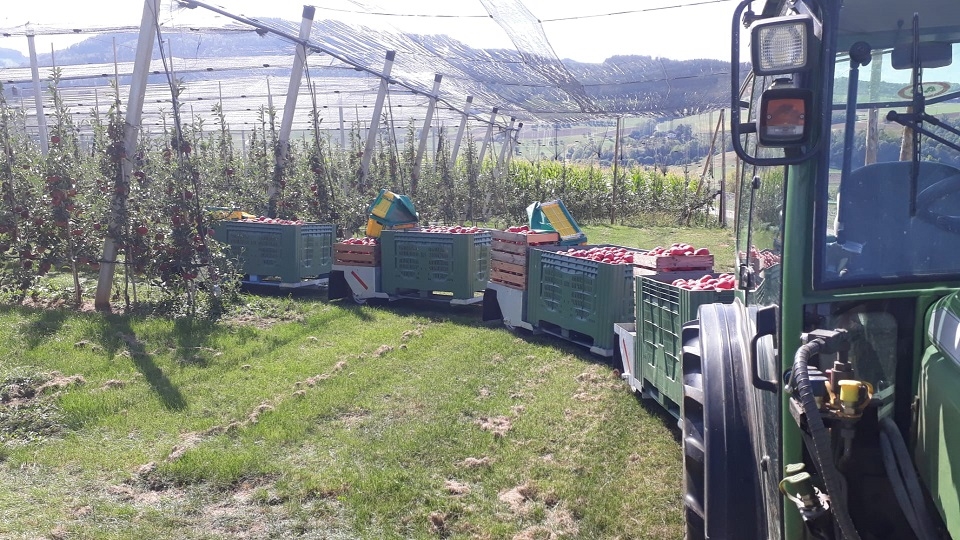 Impression vom 19.01.2026