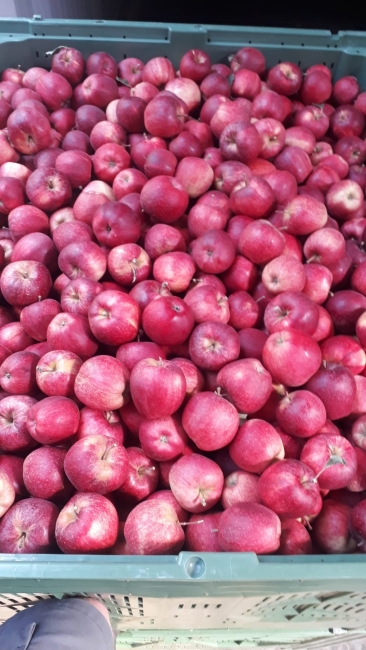 Impression vom 19.01.2026