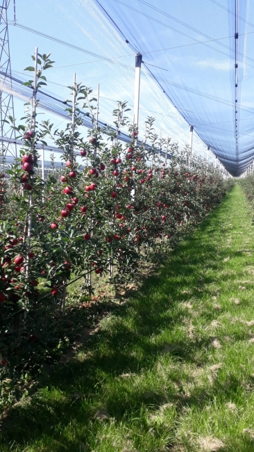 Impression vom 19.01.2026