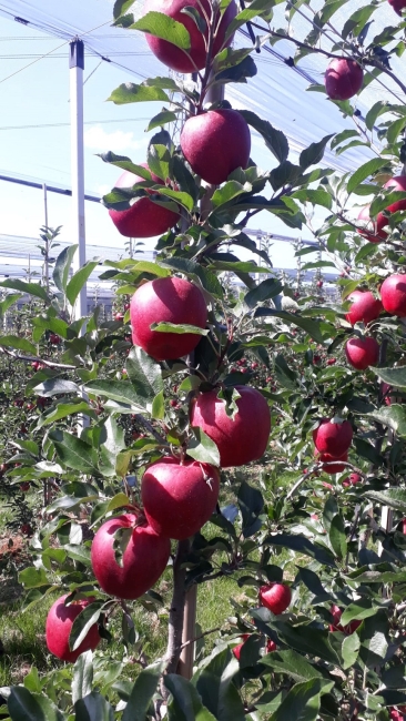 Impression vom 19.01.2026