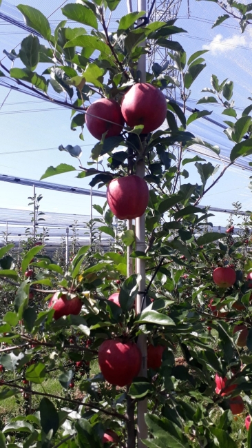 Impression vom 19.01.2026