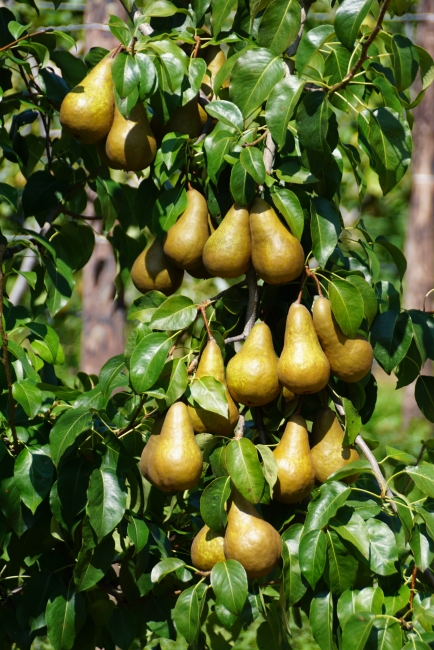 Impression vom 19.01.2026