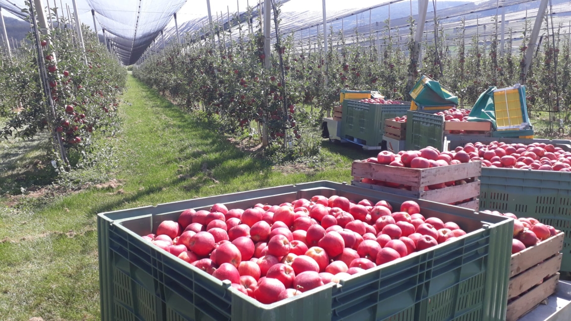 Impression vom 19.01.2026