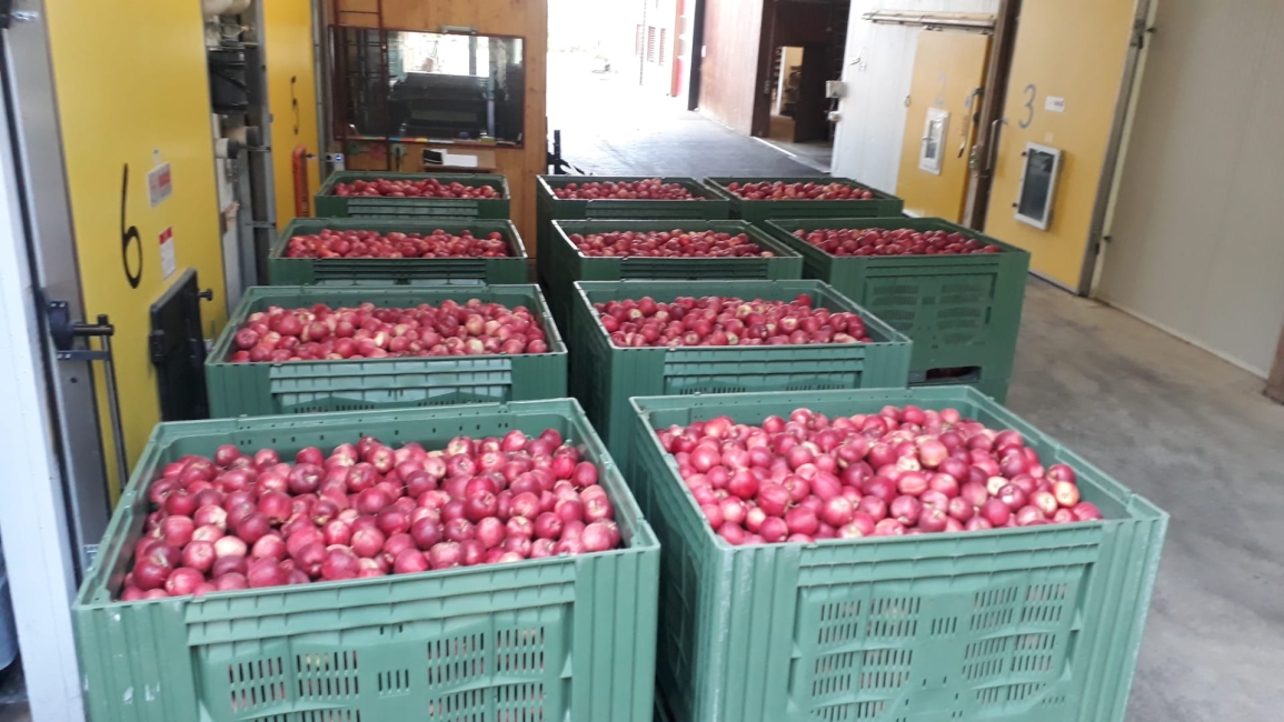 Impression vom 19.01.2026