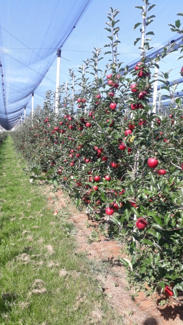 Impression vom 19.01.2026